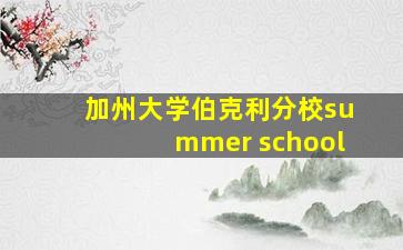 加州大学伯克利分校summer school